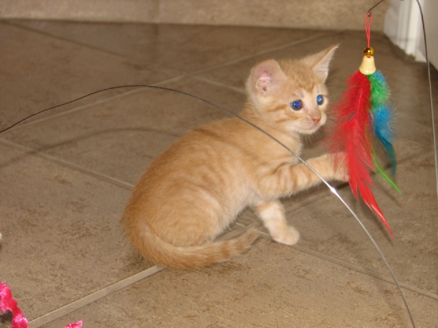 20100206 427.JPG